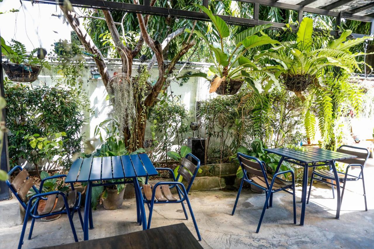 צ'יאנג מאי Sleep Guesthouse מראה חיצוני תמונה
